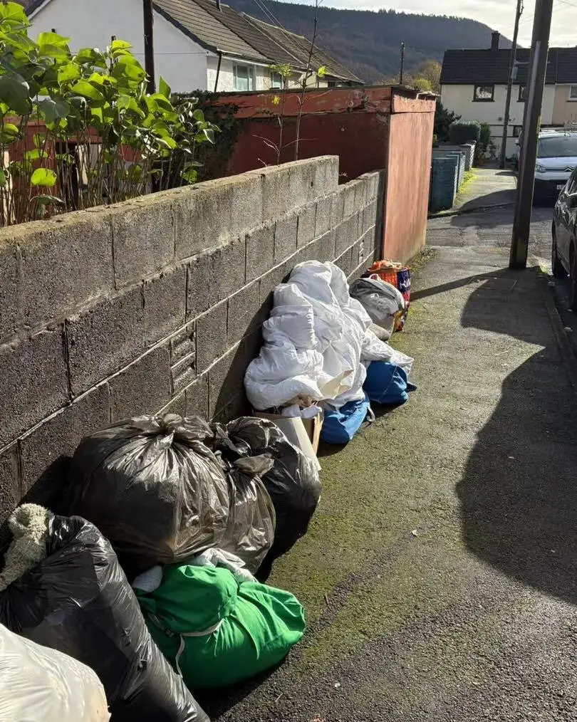 Bags of household items in a back lane